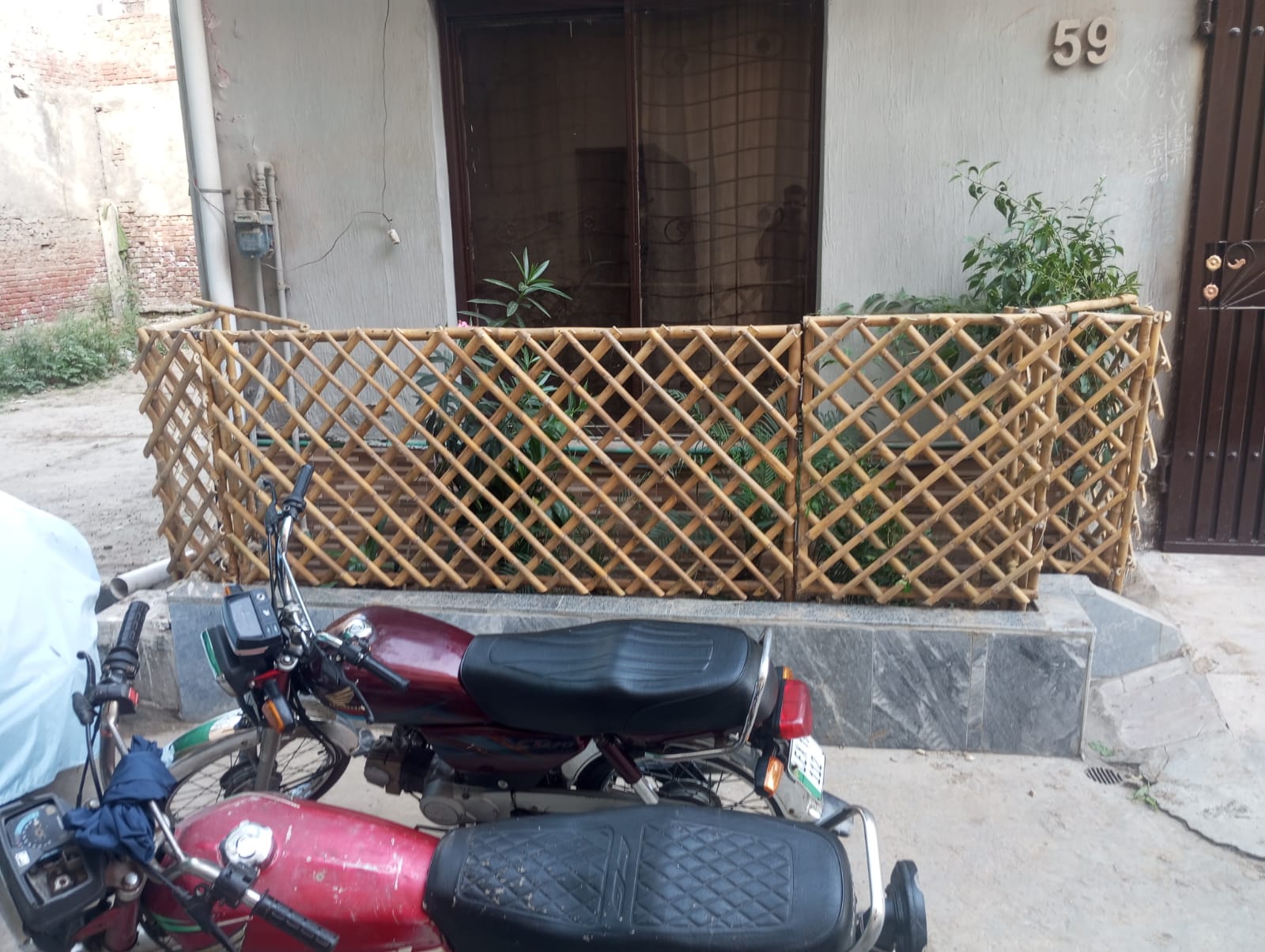 Low Bamboo Lattice