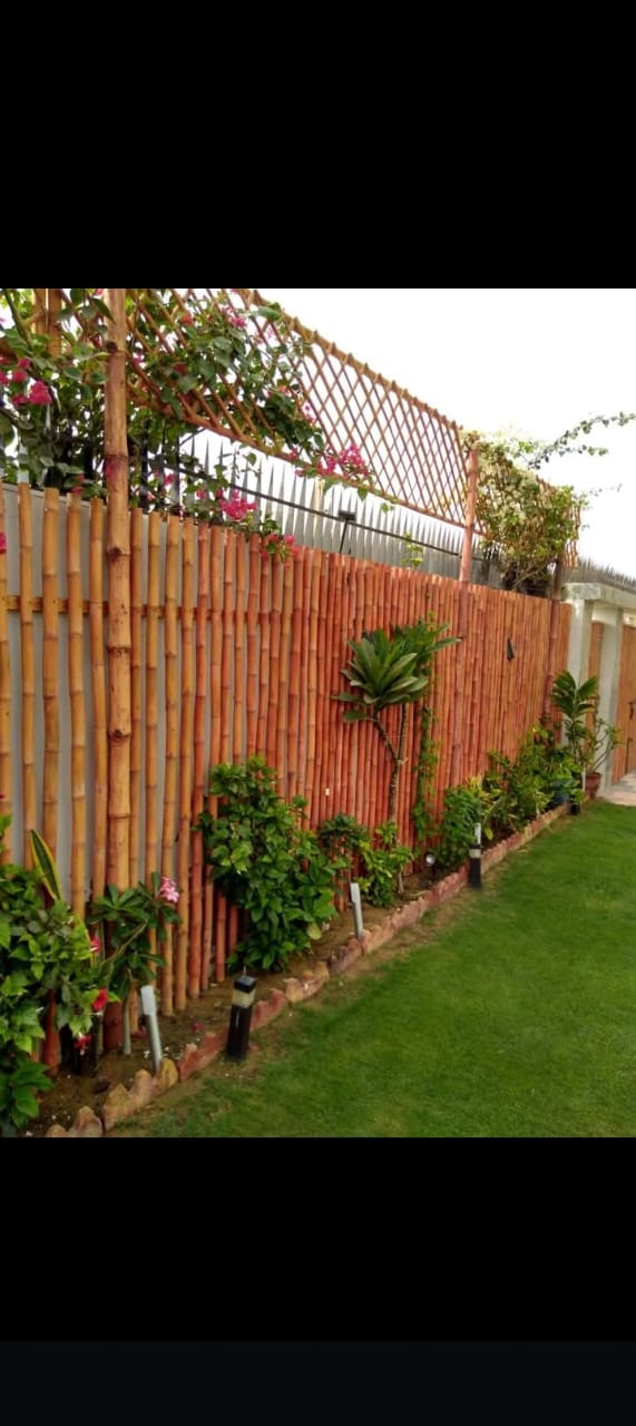 Garden Bamboo Screen