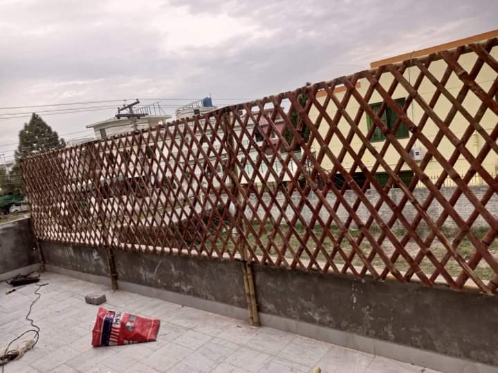 Pathway bamboo screen