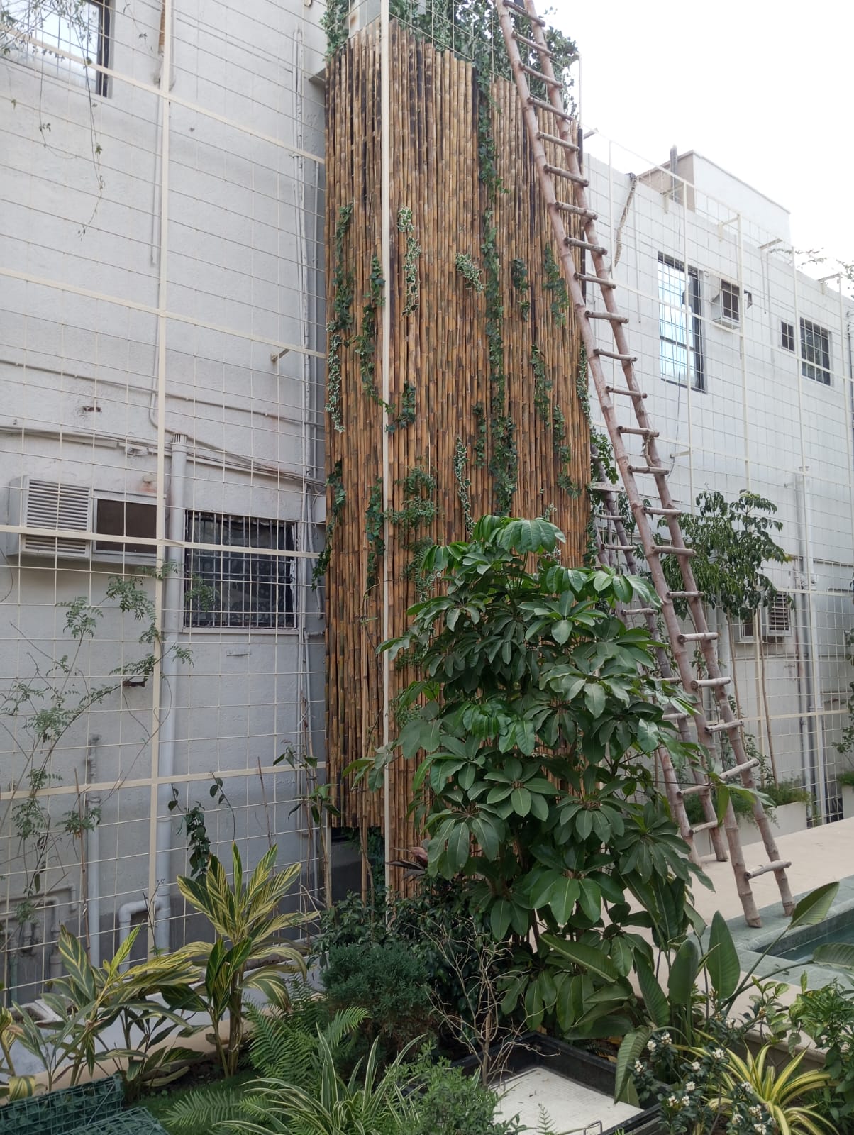 Bamboo Wall Cladding